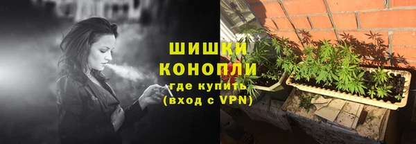 стафф Богородск
