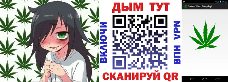 цены наркотик  Кингисепп  Конопля тримм 